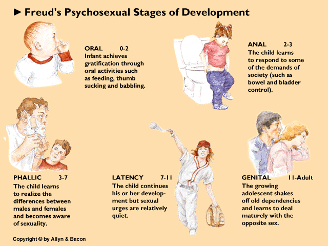 Development And Freud Ao1 Ao2 Ao3 Psychology Wizard